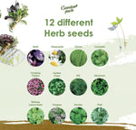 Mini Herbs – 12 Herb Varieties