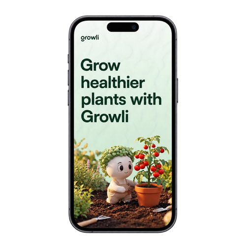 1 Year Premium Growli – Free Bundle Gift