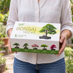 Grow Your Own Bonsai Tree Kit – 5 Trees