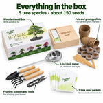 Grow Your Own Bonsai Tree Kit – 5 Trees