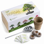 Grow Your Own Bonsai Tree Kit – 5 Trees
