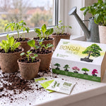 Grow Your Own Bonsai Tree Kit – 5 Trees