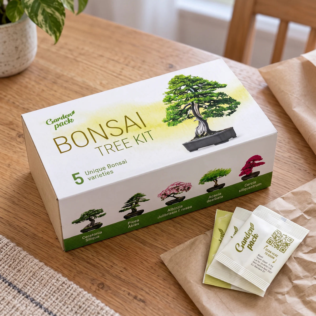 Grow Your Own Bonsai Tree Kit – 5 Trees