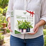 Herb Garden Kit – 10 Herb Varieties