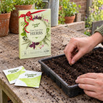 Mini Herbs – 12 Herb Varieties