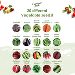 Mini Veg – 20 Vegetable Varieties
