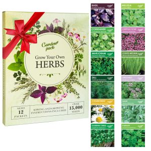 Grow Your Own Herbs Kit