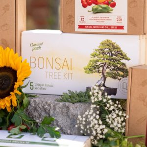 Bonsai Kits & Accessories